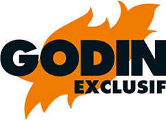logo Godin